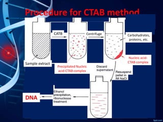 Procedure for CTAB method
Sample extract
CATB Centrifuge Carbohydrates,
proteins, etc.
Nucleic acid-
CTAB complex
DNA
Precipitated Nucleic
acid-CTAB complex
 