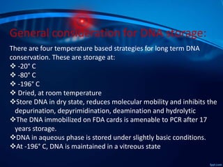 There are four temperature based strategies for long term DNA
conservation. These are storage at:
 -20° C
 -80° C
 -196° C
 Dried, at room temperature
Store DNA in dry state, reduces molecular mobility and inhibits the
depurination, depyrimidination, deamination and hydrolytic
The DNA immobilized on FDA cards is amenable to PCR after 17
years storage.
DNA in aqueous phase is stored under slightly basic conditions.
At -196° C, DNA is maintained in a vitreous state
General consideration for DNA storage:
 