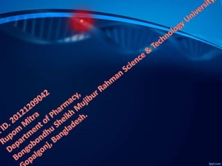 Plant dna extraction method