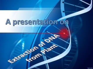 Plant dna extraction method