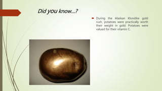 Did you know…?
 During the Alaskan Klondike gold
rush, potatoes were practically worth
their weight in gold. Potatoes were
valued for their vitamin C.
 