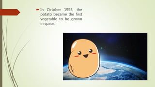  In October 1995, the
potato became the first
vegetable to be grown
in space.
 
