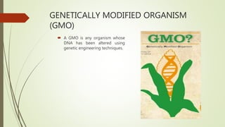 GENETICALLY MODIFIED ORGANISM
(GMO)
 A GMO is any organism whose
DNA has been altered using
genetic engineering techniques.
 