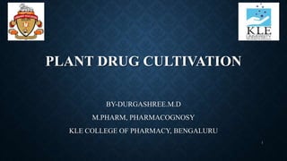 PLANT DRUG CULTIVATION
BY-DURGASHREE.M.D
M.PHARM, PHARMACOGNOSY
KLE COLLEGE OF PHARMACY, BENGALURU
1
 