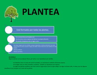 PLANTEA
                       Está formados por todas las plantas.


                     Sus características principales son:
                     Son los únicos seres capaces de fabricar su propio alimento.
                     No pueden desplazarse de un lugar a otro.

                 No tienen órganos de los sentidos, aunque responden a ciertos estímulos: las raíces
                 crecen hacia el suelo y buscan el agua; los tallos crecen hacia la luz.Se clasifican en dos
                 grupos:
                 Plantas sin flores
                 Plantas con flores



        SIN SEMILLA
        Algunas plantas nunca producen flores; por tanto, no se reproducen por semillas.

                 Los helechos viven en zonas de mucha humedad, y se reproducen mediante diminutas esporas.
                 Los musgos viven en sitios húmedos y sombríos. También se reproducen por esporas.
                 Las algas son plantas acuáticas, que viven tanto en agua dulce como en agua salada. Las algas no tienen tallo, ni raíces, por eso algunos
científicos no las incluyen en el reino de las plantas.
 