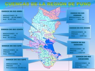 PLANTEAMIENTO-DE-PROYECTOS-DE-IRRIGACIONES-EN-LA-REGION-PUNO.pdf