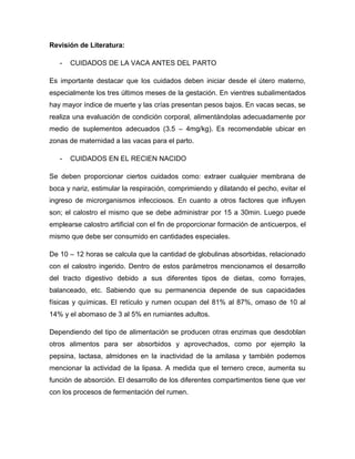 Revisión de Literatura:

   -   CUIDADOS DE LA VACA ANTES DEL PARTO

Es importante destacar que los cuidados deben iniciar desde el útero materno,
especialmente los tres últimos meses de la gestación. En vientres subalimentados
hay mayor índice de muerte y las crías presentan pesos bajos. En vacas secas, se
realiza una evaluación de condición corporal, alimentándolas adecuadamente por
medio de suplementos adecuados (3.5 – 4mg/kg). Es recomendable ubicar en
zonas de maternidad a las vacas para el parto.

   -   CUIDADOS EN EL RECIEN NACIDO

Se deben proporcionar ciertos cuidados como: extraer cualquier membrana de
boca y nariz, estimular la respiración, comprimiendo y dilatando el pecho, evitar el
ingreso de microrganismos infecciosos. En cuanto a otros factores que influyen
son; el calostro el mismo que se debe administrar por 15 a 30min. Luego puede
emplearse calostro artificial con el fin de proporcionar formación de anticuerpos, el
mismo que debe ser consumido en cantidades especiales.

De 10 – 12 horas se calcula que la cantidad de globulinas absorbidas, relacionado
con el calostro ingerido. Dentro de estos parámetros mencionamos el desarrollo
del tracto digestivo debido a sus diferentes tipos de dietas, como forrajes,
balanceado, etc. Sabiendo que su permanencia depende de sus capacidades
físicas y químicas. El retículo y rumen ocupan del 81% al 87%, omaso de 10 al
14% y el abomaso de 3 al 5% en rumiantes adultos.

Dependiendo del tipo de alimentación se producen otras enzimas que desdoblan
otros alimentos para ser absorbidos y aprovechados, como por ejemplo la
pepsina, lactasa, almidones en la inactividad de la amilasa y también podemos
mencionar la actividad de la lipasa. A medida que el ternero crece, aumenta su
función de absorción. El desarrollo de los diferentes compartimentos tiene que ver
con los procesos de fermentación del rumen.
 