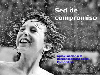 Sed de
compromiso




Aproximacion a la
Responsabilidad Social
Corporativa


   ©Hélène
   Desplechin   http://www.hdesplechin.com/