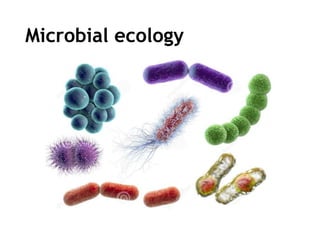 Microbial ecology
 