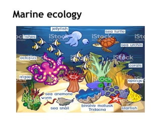 Marine ecology
 