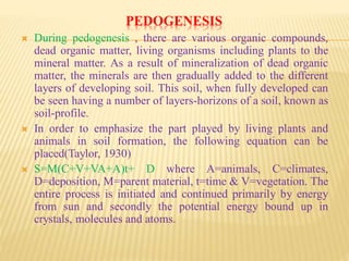Plant ecology | PPT