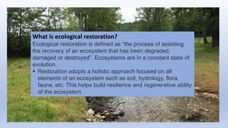What is ecological restoration?
Ecological restoration is defined as “the process of assisting
the recovery of an ecosystem that has been degraded,
damaged or destroyed”. Ecosystems are in a constant state of
evolution.
 Restoration adopts a holistic approach focused on all
elements of an ecosystem such as soil, hydrology, flora,
fauna, etc. This helps build resilience and regenerative ability
of the ecosystem.
 