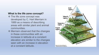 What is the life zone concept?
 The life zone concept was
developed by C. Hart Merriam in
1889 as a means of describing
areas with similar plant and animal
communities.
 Merriam observed that the changes
in these communities with an
increase in latitude at a constant
elevation are similar to the changes
seen with an increase in elevation
at a constant latitude.
 