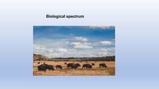 Biological spectrum
 