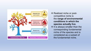  Realized niche or post-
competitive niche is
the range of environmental
conditions in which the
species actually live.
 It is always smaller than the
corresponding fundamental
niche of the species and is
considered as a subset of
the fundamental niche.
 
