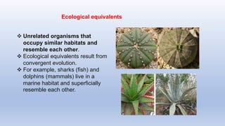  Unrelated organisms that
occupy similar habitats and
resemble each other.
 Ecological equivalents result from
convergent evolution.
 For example, sharks (fish) and
dolphins (mammals) live in a
marine habitat and superficially
resemble each other.
Ecological equivalents
 
