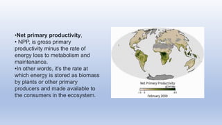 •Net primary productivity,
• NPP, is gross primary
productivity minus the rate of
energy loss to metabolism and
maintenance.
•In other words, it's the rate at
which energy is stored as biomass
by plants or other primary
producers and made available to
the consumers in the ecosystem.
 