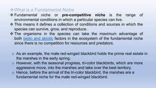o As an example, the male red-winged blackbird holds the prime real estate in
the marshes in the early spring.
o However, with the seasonal progress, tri-color blackbirds, which are more
aggressive move, into the marshes and take over the best territory.
o Hence, before the arrival of the tri-color blackbird, the marshes are a
fundamental niche for the male red-winged blackbird.
What is a Fundamental Niche
 Fundamental niche or pre-competitive niche is the range of
environmental conditions in which a particular species can live.
 This means it defines a collection of conditions and sources in which the
species can survive, grow, and reproduce.
 The organisms in the species can take the maximum advantage of
both biotic and abiotic factors in the ecosystem of the fundamental niche
since there is no competition for resources and predators.
 