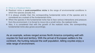  What is a Realized Niche
 Realized niche or post-competitive niche is the range of environmental conditions in
which the species actually live.
 It is always smaller than the corresponding fundamental niche of the species and is
considered as a subset of the fundamental niche.
 When the species in the fundamental niche has to face various interactions and pressure
from the environment, it is forced to move into a small niche, the realized niche.
 Also, it is considered that with the growth of the realized niche, the corresponding
fundamental niche also grows accordingly.
As an example, wolves ranged across North America competing well with
coyotes for food and territory. With the arrival of European settlers to the
continent, the hunting reduced the wolf population, letting coyotes enjoy a
wide range of environment.
 