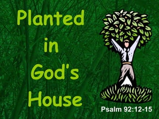 Planted  in  God’s House Psalm 92:12-15 