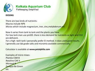 Kolkata Aquarium Club
          Fishkeeping Simplified

DOSING

There are two kinds of nutrients-
Macros include NPK
l



Micros which include magnesium, iron, zinc,molybdenum,etc
l




Now it varies from tank to tank and the plants you have
For low tech man use pmDD. there is less demand for nutrients as light and CO2
l



are deficient.
For a high -tech tank i personally prefer EI method. it does yield good results.
l



I generally use lab grade salts and micromix available commercially .

Calculator is available at www.petalphile.com

Examples of micro mixes:
Plantex CSM B
l



Rexoline CXK II
l



Microsol B
l



DoAqua Be Green
l



etc
 