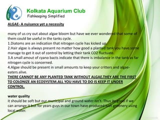 Kolkata Aquarium Club
            Fishkeeping Simplified

ALGAE- A nuisance yet a necessity

many of us cry out about algae bloom but have we ever wondered that some of
them could be useful in the tanks cycle.
1.Diatoms are an indication that nitrogen cycle has kicked up.
2.Hair algae is always present no matter how good a planted tank you have.some
manage to get it out of control by letting their tank CO2 fluctuate.
3.A small amout of cyano bacts indicate that there is imbalance in the tank as far
nitrogen cycle is concerned.
4.Algae should be present in small amounts to keep your critters and algae-
eaters alive.
THERE CANNOT BE ANY PLANTED TANK WITHOUT ALGAE.THEY ARE THE FIRST
TO COLONIZE AN ECOSYSTEM.ALL YOU HAVE TO DO IS KEEP IT UNDER
CONTROL.

water quality
it should be soft but our municipal and ground water isn't. Thus its good if we
can arrange it but for years guys in our town have produced lush greenery using
local water.
 