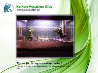 Kolkata Aquarium Club
Fishkeeping Simplified




This is a pic during proceedings on day 1
The tank is as ugly as hell. Don’t worry it will be heaven in a months
time.
 
