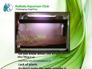 Kolkata Aquarium Club
Fishkeeping Simplified




  Do you know whats the error?
 After filling it up            photo
  courtesy:aquabieblogspot.in
  Lack of plants
 