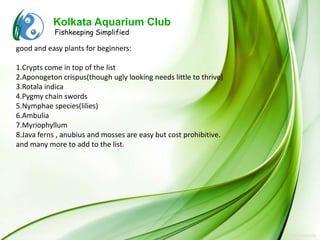 Kolkata Aquarium Club
           Fishkeeping Simplified

good and easy plants for beginners:

1.Crypts come in top of the list
2.Aponogeton crispus(though ugly looking needs little to thrive)
3.Rotala indica
4.Pygmy chain swords
5.Nymphae species(lilies)
6.Ambulia
7.Myriophyllum
8.Java ferns , anubius and mosses are easy but cost prohibitive.
and many more to add to the list.
 