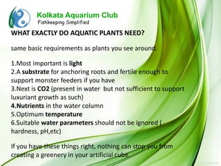 Kolkata Aquarium Club
         Fishkeeping Simplified

WHAT EXACTLY DO AQUATIC PLANTS NEED?

same basic requirements as plants you see around.

1.Most important is light
2.A substrate for anchoring roots and fertile enough to
support monster feeders if you have
3.Next is CO2 (present in water but not sufficient to support
luxuriant growth as such)
4.Nutrients in the water column
5.Optimum temperature
6.Suitable water parameters should not be ignored (
hardness, pH,etc)

If you have these things right, nothing can stop you from
creating a greenery in your artificial cube.
 