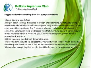 Kolkata Aquarium Club
            Fishkeeping Simplified

suggestion for those making their first ever planted tanks.

1.Learn to grow weeds first.
2.Forget about scaping. it requires thorough understanding. its not just putting
wood and rocks with ferns and anubius protruding out from here and there. in my
experience i have met only 2 or 3 persons who can really feel what a layout
actually is. Very few in India are blessed with that. Anything odd will surely shower
mixed response which may irritate you. And without fat plant growth its not a
planted tank anymore.
3.Once you grow weeds try at demanding ones.
4.Your first tank should be a collectoritis. you will have an idea of which plants suit
your setup and which do not. It will let you develop experience more than that.
5.Remember everything that you do should be forever. no rescape now and then.
 