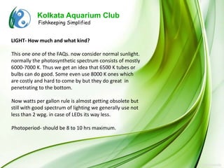 Kolkata Aquarium Club
            Fishkeeping Simplified


LIGHT- How much and what kind?

This one one of the FAQs. now consider normal sunlight.
l



normally the photosynthetic spectrum consists of mostly
6000-7000 K. Thus we get an idea that 6500 K tubes or
bulbs can do good. Some even use 8000 K ones which
are costly and hard to come by but they do great in
penetrating to the bottom.

Now watts per gallon rule is almost getting obsolete but
l



still with good spectrum of lighting we generally use not
less than 2 wpg. in case of LEDs its way less.

Photoperiod- should be 8 to 10 hrs maximum.
l
 