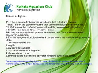 Kolkata Aquarium Club
          Fishkeeping Simplified

Choice of lights:
PLL: this is suitable for beginners as its handy, high output and low cost.
Tubes: T8- they are good no doubt but their penetration is lower than newer T5s.
T5HO- these are the preffered ones mostly and they do come with integrated
fixtures.they are suitable for wide variety of plants.
MH- they are very costly and generate too much of heat. Thus not recommended
generally in our climate.
LEDs- the new generation of planted tank owners around the world are being drawn into
LEDs.
     the main benefits are:
1.long life
2.low power consumption
3.output maintained for a long time.
4.efficiency is maximum
5.dimming feature in addition to above for mimicking sunrise and sunset.

Some suggestions regarding lights: in case of tubes try to replace the tubes after 6
months because the output decreases considerably reducing efficiency in photosynthesis
 