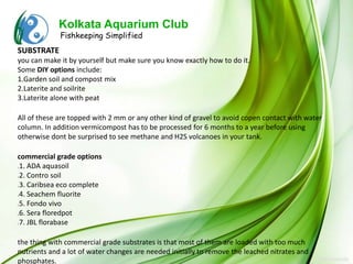 Kolkata Aquarium Club
             Fishkeeping Simplified
SUBSTRATE
you can make it by yourself but make sure you know exactly how to do it.
Some DIY options include:
1.Garden soil and compost mix
2.Laterite and soilrite
3.Laterite alone with peat

All of these are topped with 2 mm or any other kind of gravel to avoid copen contact with water
column. In addition vermicompost has to be processed for 6 months to a year before using
otherwise dont be surprised to see methane and H2S volcanoes in your tank.

commercial grade options
1. ADA aquasoil
1.



2. Contro soil
2.



3. Caribsea eco complete
3.



4. Seachem fluorite
4.



5. Fondo vivo
5.



6. Sera floredpot
6.



7. JBL florabase
7.




the thing with commercial grade substrates is that most of them are loaded with too much
nutrients and a lot of water changes are needed initially to remove the leached nitrates and
phosphates.
 