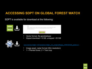 Sdpt Planted Trees Data (SDPT) Webinar Slides | PPTX