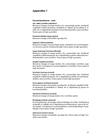 35
Appendiks 1
Faunainteraktioner - urter
Alm. røllike (Achillea millefolium)
Blomsterne besøges af mange insekter, bl.a. sommerfugle og bier, heriblandt
vægsilkebi (Colletes daviesanus), sandsilkebi (C. fodiens) og kurvsilkebi (C. si-
milis), der er oligolektiske på planter fra kurvblomstfamilien, samt svirrefluer.
Frøene spises af fugle og insekter.
Krybende læbeløs (Ajuga reptans)
Blomsterne besøges af humlebier og enlige bier.
Løgkarse (Alliaria petiolata)
Blomsterne besøges af sommerfugle og bier. Fødeplante for sommerfuglelar-
ver (fx aurora og arter af kålsommerfugl). Frøene spises af fugle og insekter.
Læge-oksetunge (Anchusa officinalis)
Blomsterne besøges af mange insekter, bl.a. sommerfugle, bier, heriblandt
vægsilkebi (Colletes daviesanus), der er oligolektisk på planter tilhørende kurv-
blomstfamilien, samt svirrefluer. Frøene spises af fugle og insekter.
Angelik (Angelica sylvestris)
Blomsterne besøges af mange insekter, bl.a. sommerfugle, svirrefluer, ægte
fluer og bier. Værtsplante for sommerfuglelarver (svalehale). Frøene spises af
fugle og insekter.
Krumhals (Anchusa arvensis)
Blomsterne besøges af mange insekter, bl.a. sommerfugle, bier, heriblandt
vægsilkebi (Colletes daviesanus), der er oligolektisk på planter fra kurvblomst-
familien, samt svirrefluer. Frøene spises af både fugle og insekter.
Farve-gåseurt (Anthemis tinctoria)
Blomsterne besøges af humlebier og enlige bier, heriblandt vægsilkebi (Colle-
tes daviesanus) og sandsilkebi (C. fodiens), der er oligolektisk på planter fra
kurvblomstfamilien.
Vild kørvel (Anthriscus sylvestris)
Blomsterne besøges af mange insekter, bl.a. svirrefluer og bier.
Rundbælg (Anthylis vulneraria)
En af de plantearter, der besøges af flest forskellige arter af bier, heriblandt og
ærtejordbi (A. wilkella), der er oligolektisk på ærteblomstrede, samt en del an-
dre insekter. Værtsplante for sommerfuglelarver (almindelig blåfugl, dværg-
blåfugl). Frøene spises af fugle og insekter.
Liden burre (Arctium minus)
Blomsterne besøges af humlebier og enlige bier. Frøene spises af fugle, bl.a.
stilits, samt insekter.
 