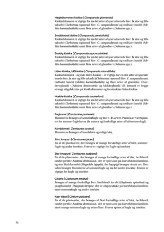 36
Nøgleblomstret klokke (Campanula glomerata)
Klokkeblomster er vigtige for en del arter af specialiserede bier, fx stor og lille
saksebi (Chelostoma rapunculi hhv. C. campanularum) og rødhalet høstbi (Me-
litta haemorrhoidalis) samt flere arter af glansbier (Dufourea spp.).
Smalbladet klokke (Campanula persicifolia)
Klokkeblomster er vigtige for en del arter af specialiserede bier, fx stor og lille
saksebi (Chelostoma rapunculi hhv. C. campanularum) og rødhalet høstbi (Me-
litta haemorrhoidalis) samt flere arter af glansbier (Dufourea spp.).
Ensidig klokke (Campanula rapunculoides)
Klokkeblomster er vigtige for en del arter af specialiserede bier, fx stor og lille
saksebi (Chelostoma rapunculi hhv. C. campanularum) og rødhalet høstbi (Me-
litta haemorrhoidalis) samt flere arter af glansbier (Dufourea spp.).
Liden klokke, blåklokke (Campanula rotundifolia)
Klokkeblomster - og især liden klokke - er vigtige for en del arter af speciali-
serede bier, fx stor og lille saksebi (Chelostoma rapunculi hhv. C. campanularum),
rødhalet høstbi (Melitta haemorrhoidalis) og flere arter af glansbier. Over-
drevglansbi (Dufourea dentiventris) og klokkeglansbi (D. inermis) er begge
strengt oligolektiske på klokkeblomster og foretrækker liden klokke.
Nælde-klokke (Campanula trachelium)
Klokkeblomster er vigtige for en del arter af specialiserede bier, fx stor og lille
saksebi (Chelostoma rapunculi hhv. C. campanularum) og rødhalet høstbi (Me-
litta haemorrhoidalis) samt flere arter af glansbier (Dufourea spp.).
Engkarse (Cardamine pratensis)
Blomsterne besøges af sommerfugle og bier (>15 arter). Planten er værtsplan-
ter for sommerfuglelarver (fx aurora og forskellige arter af kålsommerfugl).
Kornblomst (Centaurea cyanus)
Blomsterne besøges af humlebier og enlige bier.
Alm. knopurt (Centaurea jacea)
En af de plantearter, der besøges af mange forskellige arter af bier, sommer-
fugle og andre insekter. Frøene er vigtige for fugle og insekter
Stor knopurt (Centaurea scabiosa)
En af de plantearter, der besøges af mange forskellige arter af bier, heriblandt
tandet jordbi (Andrena denticulata), der er specialist på kurveblomstfamilien,
og stor bladskærerbi (Megachile lagopda), der hyppigt besøger denne art. Des-
uden besøges blomsterne af sommerfugle og en del andre insekter. Frøene er
vigtige for fugle og insekter
Cikorie (Cichorium intybus)
Besøges af mange forskellige bier, heriblandt tornbi (Hoplosmia spinulosa) og
pragtbuskebi (Dasypoda hirtipes), der er oligolektiske på kurvblomstfamilien,
samt sommerfugle og andre insekter
Kær-tidsel (Cirsium palustre)
En af de plantearter, der besøges af flest forskellige arter af bier, heriblandt
tandet jordbi (Andrena denticulata), der er specialist på kurveblomstfamilien,
samt mange sommerfugle og svirrefluer. Frøene spises af fugle og insekter.
 