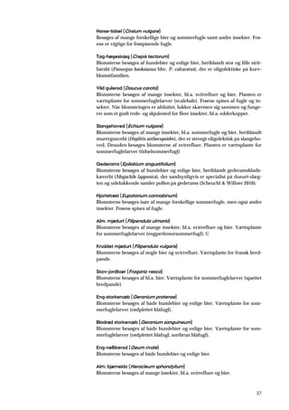 37
Horse-tidsel (Cirsium vulgare)
Besøges af mange forskellige bier og sommerfugle samt andre insekter. Frø-
ene er vigtige for frøspisende fugle.
Tag-høgeskæg (Crepis tectorum)
Blomsterne besøges af humlebier og enlige bier, heriblandt stor og lille strit-
hårsbi (Panurgus banksianus hhv. P. calcaratus), der er oligolektiske på kurv-
blomstfamilien.
Vild gulerod (Daucus carota)
Blomsterne besøges af mange insekter, bl.a. svirrefluer og bier. Planten er
værtsplante for sommerfuglelarver (svalehale). Frøene spises af fugle og in-
sekter. Når blomstringen er afsluttet, lukker skærmen sig sammen og funge-
rer som et godt rede- og skjulested for flere insekter, bl.a. edderkopper.
Slangehoved (Echium vulgare)
Blomsterne besøges af mange insekter, bl.a. sommerfugle og bier, heriblandt
murergnavebi (Hoplitis anthocopoides), der er strengt oligolektisk på slangeho-
ved. Desuden besøges blomsterne af svirrefluer. Planten er værtsplante for
sommerfuglelarver (tidselsommerfugl)
Gederams (Epilobium angustifolium)
Blomsterne besøges af humlebier og enlige bier, heriblandt gederamsblads-
kærerbi (Megachile lapponica), der sandsynligvis er specialist på dueurt-slæg-
ten og udelukkende samler pollen på gederams (Scheuchl & Willner 2016).
Hjortetrøst (Eupatorium cannabinum)
Blomsterne besøges især af mange forskellige sommerfugle, men også andre
insekter. Frøene spises af fugle.
Alm. mjødurt (Filipendula ulmaria)
Blomsterne besøges af mange insekter, bl.a. svirrefluer og bier. Værtsplante
for sommerfuglelarver (engperlemorsommerfugl). C
Knoldet mjødurt (Filipendula vulgaris)
Blomsterne besøges af nogle bier og svirrefluer. Værtsplante for fransk bred-
pande.
Skov-jordbær (Fragaria vesca)
Blomsterne besøges af bl.a. bier. Værtsplante for sommerfuglelarver (spættet
bredpande)
Eng-storkenæb (Geranium pratense)
Blomsterne besøges af både humlebier og enlige bier. Værtsplante for som-
merfuglelarver (rødplettet blåfugl).
Blodrød storkenæb (Geranium sanguineum)
Blomsterne besøges af både humlebier og enlige bier. Værtsplante for som-
merfuglelarver (rødplettet blåfugl, sortbrun blåfugl).
Eng-nellikerod (Geum rivale)
Blomsterne besøges af både humlebier og enlige bier.
Alm. bjørneklo (Heracleum sphondylium)
Blomsterne besøges af mange insekter, bl.a. svirrefluer og bier.
 