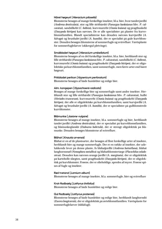 38
Håret høgeurt (Hieracium pilosella)
Blomsterne besøges af mange forskellige insekter, bl.a. bier, hvor tandet jordbi
(Andrena denticulata), stor og lille strithårsbi (Panurgus banksianus hhv. P. cal-
caratus), sandsilkebi (C. fodiens), kurvmurerbi (Osmia leaiana) og pragtbuskebi
(Dasypoda hirtipes) kan nævnes. De er alle specialister på planter fra kurve-
blomstfamilien. Blandt specialisterne kan desuden nævnes kurvjordbi (A.
fulvago) og brunhalet jordbi (A. humilis), der er specialist på gule kurvblom-
ster. Desuden besøges blomsterne af sommerfugle og svirrefluer. Værtsplante
for sommerfuglelarver (okkergul pletvinge).
Smalbladet høgeurt (Hieracium umbellatum)
Blomsterne besøges af en del forskellige insekter, bl.a. bier, heriblandt stor og
lille strithårsbi (Panurgus banksianus hhv. P. calcaratus), sandsilkebi (C. fodiens),
kurvmurerbi (Osmia leaiana) og pragtbuskebi (Dasypoda hirtipes), der er oligo-
lektiske på kurvblomstfamilien, samt sommerfugle, men færre arter end håret
høgeurt.
Prikbladet perikon (Hypericum perforatum)
Blomsterne besøges af både humlebier og enlige bier.
Alm. kongepen (Hypochoeris radicata)
Besøges af mange forskellige bier og sommerfugle samt andre insekter. Her-
iblandt stor og lille strithårsbi (Panurgus banksianus hhv. P. calcaratus), hulbi
(Heriades truncorum), kurvmurerbi (Osmia leaiana) og pragtbuskebi (Dasypoda
hirtipes), der alle er oligolektiske på kurvblomstfamilien, samt kurvjordbi (A.
fulvago) og brunhalet jordbi (A. humilis), der er specialister på gulblomstrede
kurvblomster.
Blåmunke (Jasione vulgare)
Blomsterne besøges af mange insekter, bl.a. sommerfugle og bier, heriblandt
tandet jordbi (Andrena denticulata), der er specialist på kurveblomstfamilien,
og blåmunkeglansbi (Dufourea halictula), der er strengt oligolektisk på blå-
munke. Desuden besøges blomsterne af svirrefluer.
Blåhat (Knautia arvensis)
Blåhat er en af de plantearter, der besøges af flest forskellige arter af insekter,
heriblandt bier og mange sommerfugle. Der er en række af insekter, der ude-
lukkende lever på denne plante, fx blåhatjordbi (Andrena hattorfiana), blåhat
langhornsmøl (Nemophora metallica) og blåhatblomstertæge (Placochilus selado-
nicus). Desuden kan nævnes orange jordbi (A. marginata), der er oligolektisk
på kartebolle-slægten, samt pragtbuskebi (Dasypoda hirtipes), der er oligolek-
tisk på kurvblomster. Frøene, der er olieholdige, spredes af myrer. Frøene spi-
ses af fugle og insekter.
Rød tvetand (Lamium album)
Blomsterne besøges af mange insekter, bl.a. sommerfugle, bier og svirrefluer
Krat-fladbælg (Lathyrus linifolius)
Blomsterne besøges af både humlebier og enlige bier.
Gul fladbælg (Lathyrus pratensis)
Blomsterne besøges af både humlebier og enlige bier, heriblandt langhornsbi
(Eucera longicornis), der er oligolektisk på ærteblomstfamilien. Værtsplante for
sommerfuglelarver (isblåfugl).
 