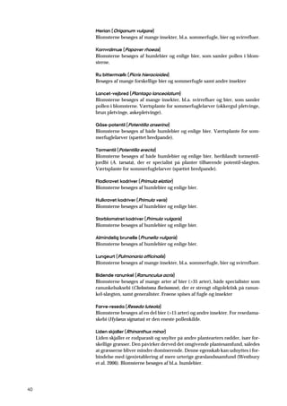 40
Merian (Origanum vulgare)
Blomsterne besøges af mange insekter, bl.a. sommerfugle, bier og svirrefluer.
Kornvalmue (Papaver rhoeas)
Blomsterne besøges af humlebier og enlige bier, som samler pollen i blom-
sterne.
Ru bittermælk (Picris hieracioides)
Besøges af mange forskellige bier og sommerfugle samt andre insekter
Lancet-vejbred (Plantago lanceolatum)
Blomsterne besøges af mange insekter, bl.a. svirrefluer og bier, som samler
pollen i blomsterne. Værtsplante for sommerfuglelarver (okkergul pletvinge,
brun pletvinge, askepletvinge).
Gåse-potentil (Potentilla anserina)
Blomsterne besøges af både humlebier og enlige bier. Værtsplante for som-
merfuglelarver (spættet bredpande).
Tormentil (Potentilla erecta)
Blomsterne besøges af både humlebier og enlige bier, heriblandt tormentil-
jordbi (A. tarsata), der er specialist på planter tilhørende potentil-slægten.
Værtsplante for sommerfuglelarver (spættet bredpande).
Fladkravet kodriver (Primula elatior)
Blomsterne besøges af humlebier og enlige bier.
Hulkravet kodriver (Primula veris)
Blomsterne besøges af humlebier og enlige bier.
Storblomstret kodriver (Primula vulgaris)
Blomsterne besøges af humlebier og enlige bier.
Almindelig brunelle (Prunella vulgaris)
Blomsterne besøges af humlebier og enlige bier.
Lungeurt (Pulmonaria officinalis)
Blomsterne besøges af mange insekter, bl.a. sommerfugle, bier og svirrefluer.
Bidende ranunkel (Ranunculus acris)
Blomsterne besøges af mange arter af bier (>35 arter), både specialister som
ranunkelsaksebi (Chelostoma florisomne), der er strengt oligolektisk på ranun-
kel-slægten, samt generalister. Frøene spises af fugle og insekter
Farve-reseda (Reseda luteola)
Blomsterne besøges af en del bier (>15 arter) og andre insekter. For resedama-
skebi (Hylaeus signatus) er den eneste pollenkilde.
Liden skjaller (Rhinanthus minor)
Liden skjaller er rodparasit og snylter på andre plantearters rødder, især for-
skellige græsser. Den påvirker derved det omgivende plantesamfund, således
at græsserne bliver mindre dominerende. Denne egenskab kan udnyttes i for-
bindelse med (gen)etablering af mere urterige græslandssamfund (Westbury
et al. 2006). Blomsterne besøges af bl.a. humlebier.
 