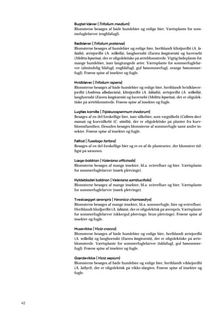 42
Bugtet kløver (Trifolium medium)
Blomsterne besøges af både humlebier og enlige bier. Værtsplante for som-
mefuglelarver (engblåfugl).
Rødkløver (Trifolium pratense)
Blomsterne besøges af humlebier og enlige bier, heriblandt klintjordbi (A. la-
bialis), ærtejordbi (A. wilkella), langhornsbi (Eucera longicornis) og lucernebi
(Melitta leporina), der er oligolektiske på ærteblomstrede. Vigtig fødeplante for
mange humlebier, især langtungede arter. Værtsplante for sommerfuglelar-
ver (almindelig blåfugl, engblåfugl, gul høsommerfugl, orange høsommer-
fugl). Frøene spise af insekter og fugle.
Hvidkløver (Trifolium repens)
Blomsterne besøges af både humlebier og enlige bier, heriblandt hvidkløver-
jordbi (Andrena albofasciata), klintjordbi (A. labialis), ærtejordbi (A. wilkella),
langhornsbi (Eucera longicornis) og lucernebi (Melitta leporina), der er oligolek-
tiske på ærteblomstrede. Frøene spise af insekter og fugle.
Lugtløs kamille (Tripleurospermum inodorum)
Besøges af en del forskellige bier, især silkebier, som vægsilkebi (Colletes davi-
esanus) og kurvsilkebi (C. similis), der er oligolektiske på planter fra kurv-
blomstfamilien. Desuden besøges blomsterne af sommerfugle samt andre in-
sekter. Frøene spise af insekter og fugle.
Følfod (Tussilago farfara)
Besøges af en del forskellige bier og er en af de plantearter, der blomstrer tid-
ligst på sæsonen.
Læge-baldrian (Valeriana officinalis)
Blomsterne besøges af mange insekter, bl.a. svirrefluer og bier. Værtsplante
for sommerfuglelarver (mørk pletvinge).
Hyldebladet baldrian (Veleriana sambucifolia)
Blomsterne besøges af mange insekter, bl.a. svirrefluer og bier. Værtsplante
for sommerfuglelarver (mørk pletvinge).
Tveskægget ærenpris (Veronica chamaedrys)
Blomsterne besøges af mange insekter, bl.a. sommerfugle, bier og svirrefluer.
Heriblandt blodjordbi (A. labiata), der er oligolektisk på ærenpris. Værtsplante
for sommerfuglelarver (okkergul pletvinge, brun pletvinge). Frøene spise af
insekter og fugle.
Musevikke (Vicia cracca)
Blomsterne besøges af både humlebier og enlige bier, heriblandt ærtejordbi
(A. wilkella) og langhornsbi (Eucera longicornis), der er oligolektiske på ærte-
blomstrede. Værtsplante for sommerfuglelarver (isblåfugl, gul høsommer-
fugl). Frøene spise af insekter og fugle.
Gærdevikke (Vicia sepium)
Blomsterne besøges af både humlebier og enlige bier, heriblandt vikkejordbi
(A. lathyri), der er oligolektisk på vikke-slægten. Frøene spise af insekter og
fugle.
 