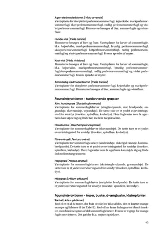 43
Ager-stedmoderblomst (Viola arvensis)
Værtsplante for storplettet perlemorssommerfugl, kejserkåbe, markperlemor-
sommerfugl, skovperlemorsommerfugl, rødlig perlemorsommerfugl og vio-
let perlemorsommerfugl. Blomsterne besøges af bier, sommerfugle og svirre-
fluer.
Hunde-viol (Viola canina)
Blomsterne besøges af bier og fluer. Værtsplante for larver af sommerfugle,
bl.a. kejserkåbe, markperlemorsommerfugl, brunlig perlemorsommerfugl,
skovperlemorsommerfugl, klitperlemorsommerfugl, rødlig perlemorsom-
merfugl og violet perlemorsommerfugl. Frøene spredes af myrer.
Krat-viol (Viola riviniana)
Blomsterne besøges af bier og fluer. Værtsplante for larver af sommerfugle,
bl.a. kejserkåbe, markperlemorsommerfugl, brunlig perlemorsommer-
fugl,skovperlemorsommerfugl, rødlig perlemorsommerfugl og violet perle-
morsommerfugl. Frøene spredes af myrer.
Almindelig stedmoderblomst (Viola tricolor)
Værtsplante for storplettet perlemorssommerfugl, kejserkåbe og markperle-
morsommerfugl. Blomsterne besøges af bier, sommerfugle og svirrefluer.
Faunainteraktioner – tuedannende græsser
Alm. hundegræs (Dactylis glomerata)
Værtsplante for sommerfuglelarver (stregbredpande, stor bredpande, en-
grandøje, skovrandøje, vejrandøje). De tætte tuer er et yndet overvintrings-
sted for smådyr (insekter, spindlere, krebsdyr). Flere fuglearter som fx ager-
høns kan skjule sig og finde fød mellem tuegræsserne.
Mosebunke (Deschampsia cespitosa)
Værtsplante for sommerfuglelarver (skovrandøje). De tætte tuer er et yndet
overvintringssted for smådyr (insekter, spindlere, krebsdyr).
Fåre-svingel (Festuca ovina)
Værtsplante for sommerfuglelarver (sandrandøje, okkergul randøje, komma-
bredpande). De tætte tuer er et yndet overvintringssted for smådyr (insekter,
spindlere, krebsdyr). Flere fuglearter som fx agerhøns kan skjule sig og finde
fød mellem tuegræsserne.
Fløjlsgræs (Holcus lanatus)
Værtsplante for sommerfuglelarver (skråstregbredpande, græsrandøje). De
tætte tuer er et yndet overvintringssted for smådyr (insekter, spindlere, krebs-
dyr).
Miliegræs (Milium effusum)
Værtsplante for sommerfuglelarver (sortplettet bredpande). De tætte tuer er
et yndet overvintringssted for smådyr (insekter, spindlere, krebsdyr).
Faunainteraktioner – træer, buske, dværgbuske, klatreplanter
Rød-el (Alnus glutionsa)
Rød-el er et af de træer, der hvis det får lov til at ældes, der er knyttet mange
svampe og lichener til (se Tabel 2). Rød-el har færre ledsagearter blandt insek-
ter, men bladene spises af del sommerfuglelarver. Frøene er vigtige for mange
fugle om vinteren. Det gælder bl.a. mejser og siskner.
 