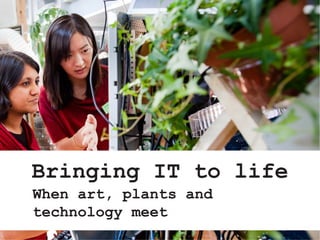 Bringing IT to life
When art, plants and
technology meet
 