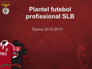 Plantel futebol
profissional SLB
Época 2012-2013
 
