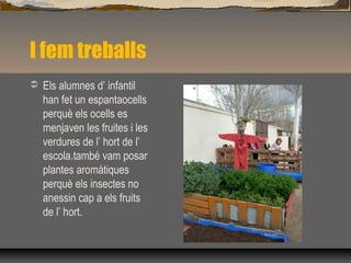 I fem treballs
 Els alumnes d’ infantil
han fet un espantaocells
perquè els ocells es
menjaven les fruites i les
verdures de l’ hort de l’
escola.també vam posar
plantes aromàtiques
perquè els insectes no
anessin cap a els fruits
de l’ hort.
 