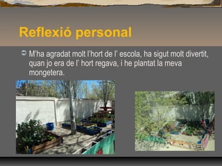 Reflexió personal
 M’ha agradat molt l’hort de l’ escola, ha sigut molt divertit,
quan jo era de l’ hort regava, i he plantat la meva
mongetera.
 