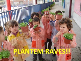 PLANTEM RAVES!! 