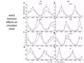 Plant epigenetic memory in plant growth behavior and stress response. Sally Mackenzie