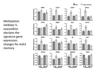 Plant epigenetic memory in plant growth behavior and stress response. Sally Mackenzie