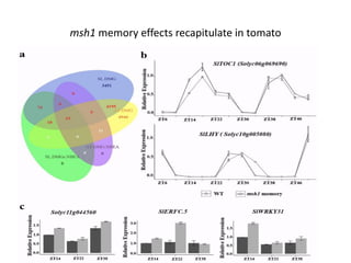 Plant epigenetic memory in plant growth behavior and stress response. Sally Mackenzie